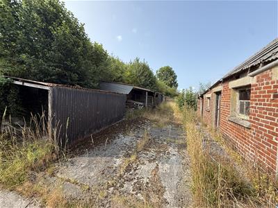 Picture 11